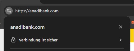 Dieses Bild zeigt eine sichere Website